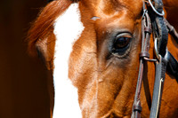 Justify