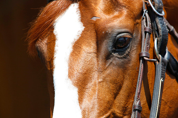 justify47_rn