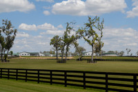 adenasprings04_jd