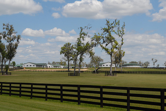 adenasprings04_jd