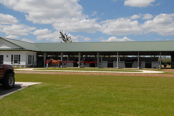 adenasprings06_jd