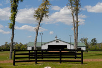 adenasprings07_jd