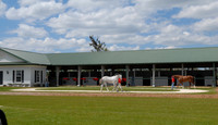 adenasprings09_jd