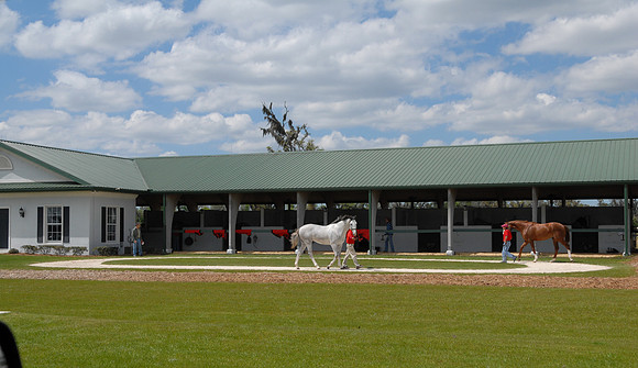 adenasprings09_jd