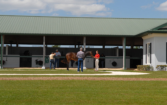 adenasprings08_jd
