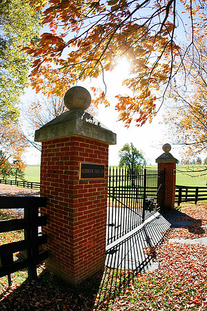 ashbrookfarm01_mjm