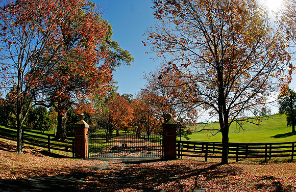 ashbrookfarm02_mjm