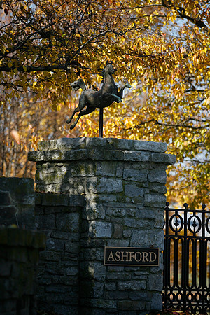 ashfordstud05_mjm