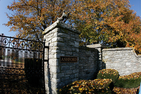ashfordstud04_mjm