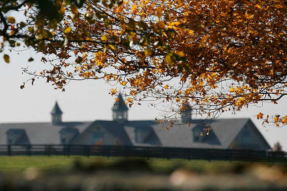 ashfordstud07_mjm