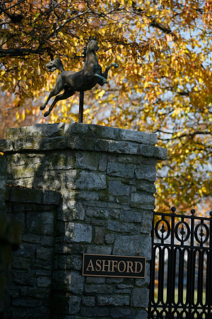 ashfordstud09_mjm