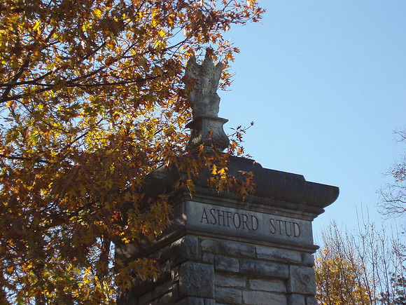 ashfordstud12_cg
