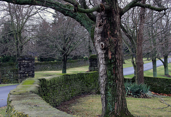 ashfordstud19_ev