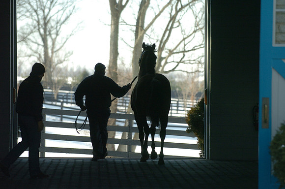 ashfordstudbarn_01jd