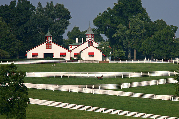 calumet_farm11