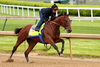 americanpharoah69