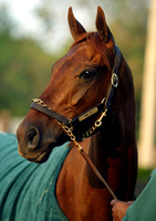 funnycide06