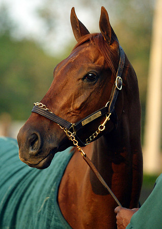 funnycide06