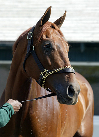 funnycide12