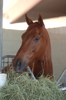 funnycide85