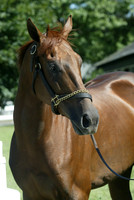 funnycide78