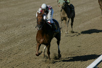 funnycide124