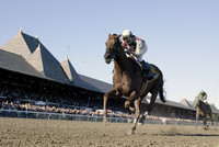 funnycide127