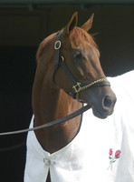 Funny Cide