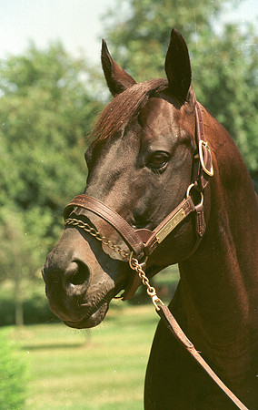 seattleslew05