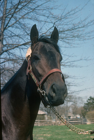 seattleslew18_hr