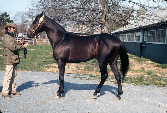 seattleslew20_hr