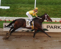 rachelalexandra_haskell06