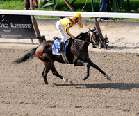 rachelalexandra_mother_goose05