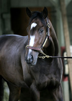 rachelalexandra_port03