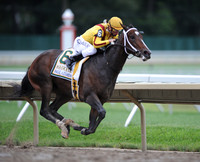 rachelalexandra_haskell07