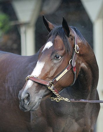 rachelalexandra_port02