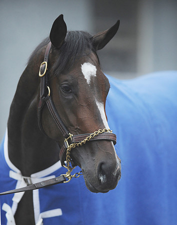 rachelalexandra_port01