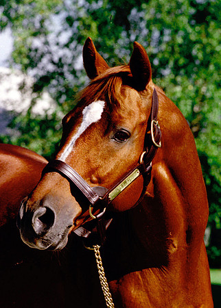 affirmed_port01