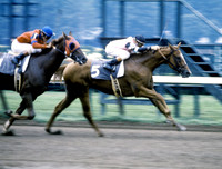affirmed_hopeful
