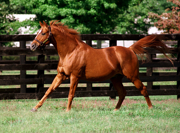 affirmed_running