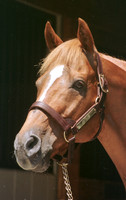 affirmed_port02