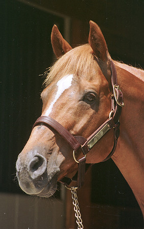 affirmed_port02
