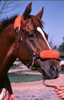 affirmed_port03