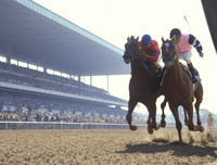 affirmed_belmont01