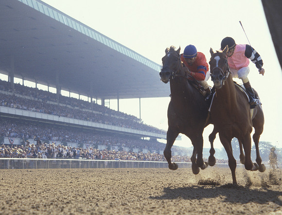 affirmed_belmont01