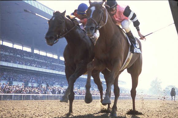 affirmed_belmont02