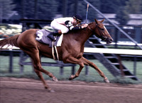 affirmed_sanford