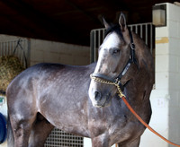arrogate_port02