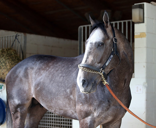 arrogate_port02