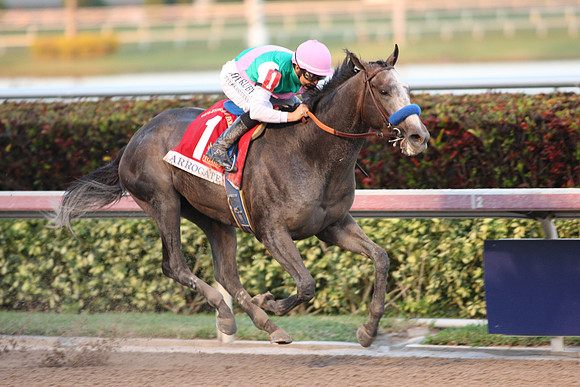 arrogate_pegasus07